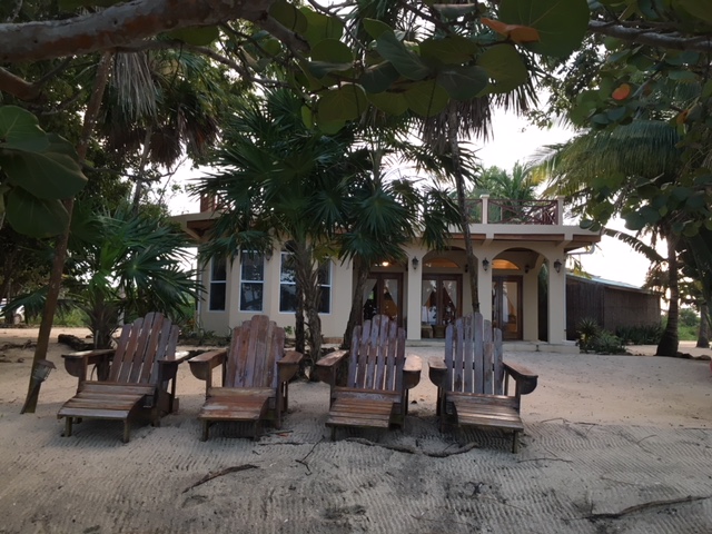 House from Backyard 2.jpg