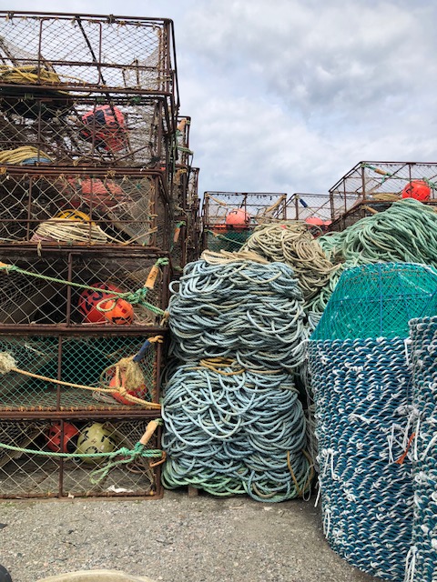Crab Nets